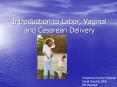 Introduction to Labor, Vaginal and Cesarean Delivery PowerPoint PPT Presentation