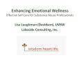 Enhancing Emotional Wellness Effective Self Care for Substance Abuse Professionals PowerPoint PPT Presentation