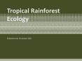 Tropical Rainforest Ecology PowerPoint PPT Presentation