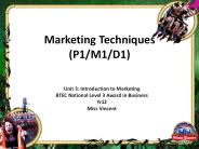 Marketing Techniques (P1/M1/D1)