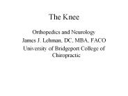 The Knee