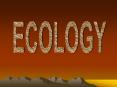 ECOLOGY PowerPoint PPT Presentation