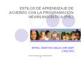 ESTILOS DE APRENDIZAJE DE ACUERDO CON LA PROGRAMACI PowerPoint PPT Presentation