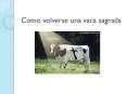 Como volverse una vaca sagrada PowerPoint PPT Presentation