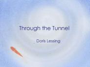 Through the Tunnel