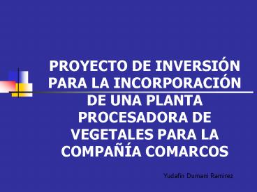 PROYECTO DE INVERSI