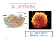 Diapositiva 1