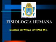 FISIOLOGIA HUMANA