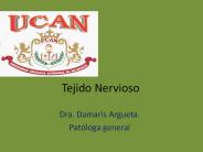 Tejido Nervioso