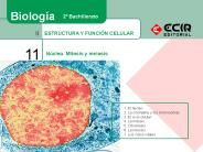 ESTRUCTURA Y FUNCI