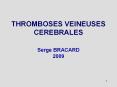 THROMBOSES VEINEUSES CEREBRALES PowerPoint PPT Presentation