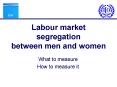 Labour market segregation between men and women PowerPoint PPT Presentation