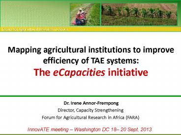 Dr. Irene Annor-Frempong