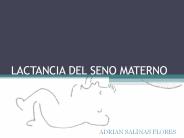 LACTANCIA DEL SENO MATERNO