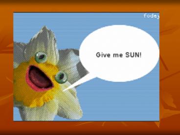 Chapter 8 Cellular Energy *Photosynthesis *Cellular Respiration