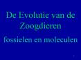 De Evolutie van de Zoogdieren PowerPoint PPT Presentation