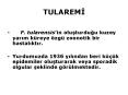 TULAREMI PowerPoint PPT Presentation