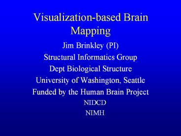 Visualization-based Brain Mapping presentation | free to view