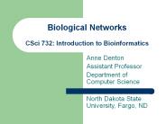Biological Networks CSci 732: Introduction to Bioinformatics