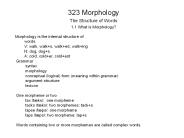 323 Morphology