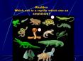 Reptiles Which one is a reptile which one an amphibian? PowerPoint PPT Presentation
