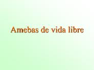 Amebas de vida libre