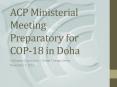 ACP Ministerial Meeting Preparatory for COP-18 in Doha PowerPoint PPT Presentation