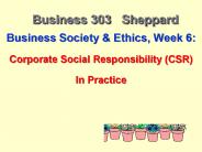 Business 303  Sheppard