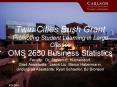 Twin Cities Bush Grant Promoting Student Learning in Large Classes OMS 2550 Business Statistics Faculty: Dr. Steven C. Huchendorf,                                   Grad Assistants: Jason Liu, Marco Habermann, PowerPoint PPT Presentation