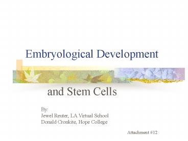 Embryological Development