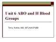 Unit 6 ABO and H Blood Groups PowerPoint PPT Presentation