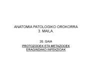 ANATOMIA PATOLOGIKO OROKORRA 3. MAILA.