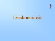 Leishmaniosis