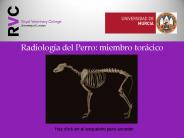 Radiolog