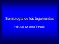 Semiolog PowerPoint PPT Presentation