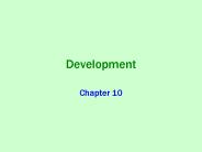 Development