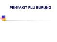 PENYAKIT FLU BURUNG PowerPoint PPT Presentation