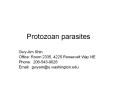 Protozoan parasites PowerPoint PPT Presentation