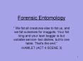 Forensic Entomology PowerPoint PPT Presentation