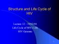 Structure and Life Cycle of HIV PowerPoint PPT Presentation