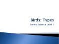 Birds: Types PowerPoint PPT Presentation