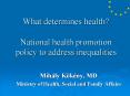 What determines health? National health promotion policy to address inequalities PowerPoint PPT Presentation