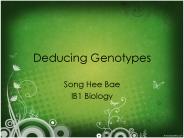 Deducing Genotypes