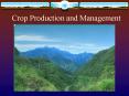 Crop Production and Management PowerPoint PPT Presentation