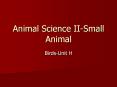 Animal Science II-Small Animal PowerPoint PPT Presentation
