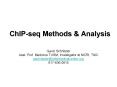 ChIP-seq Methods PowerPoint PPT Presentation