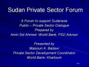 Sudan Private Sector Forum