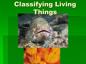 Classifying Living Things