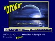 FELIZ  OTO