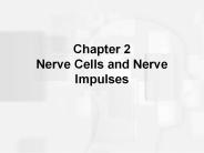 Chapter 2 Nerve Cells and Nerve Impulses